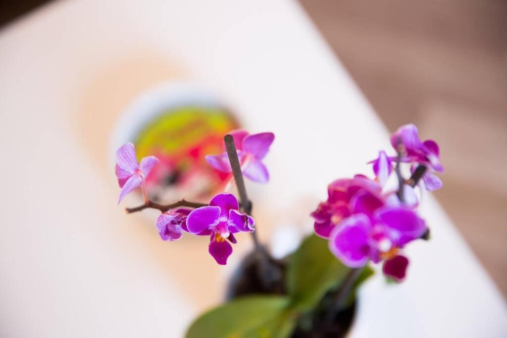 Apartament A Bright Hideaway *